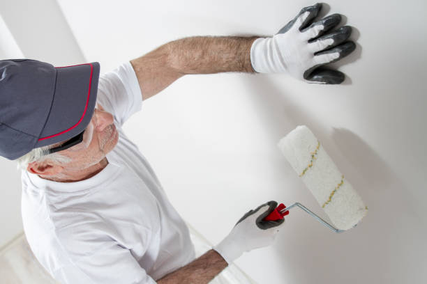 Best Post-Construction Mold Inspection  in Ddanelle, AR