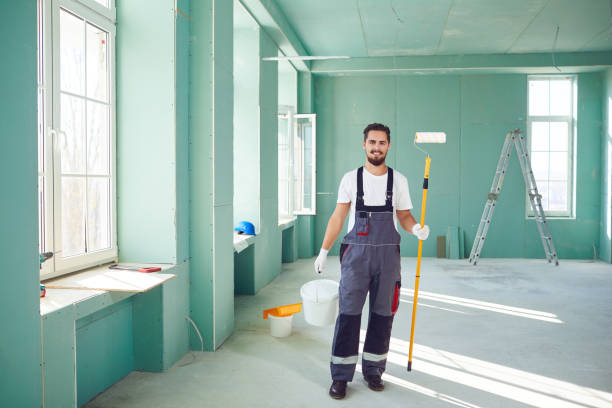 Best Mold Removal for HVAC Installations  in Ddanelle, AR