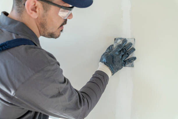 Best Black Mold Removal  in Ddanelle, AR