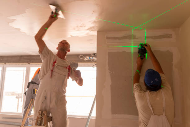 Best Forensic Mold Investigation  in Ddanelle, AR