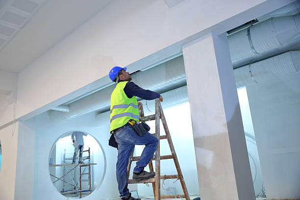 Reliable Dardanelle, AR Mold Removal Solutions