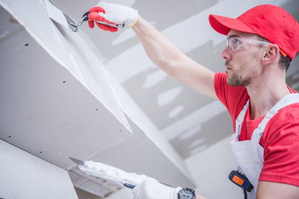 Best Mold Damage Restoration  in Ddanelle, AR